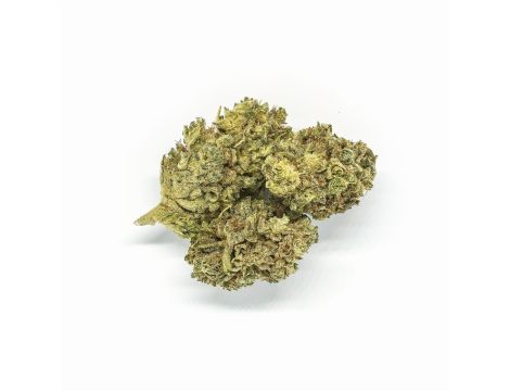 Sativa Poland Susz CBD Tangerine Dream - 4